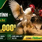 f88bet-livecasino-banner-1