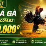 f88bet-livecasino-banner-2