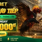 f88bet-livecasino-banner-3